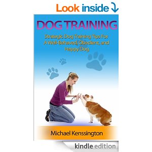 Dog Training Tips