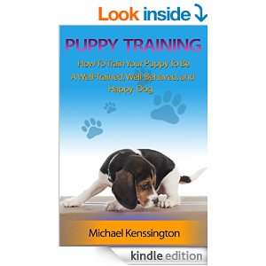 Puppy Training Tips